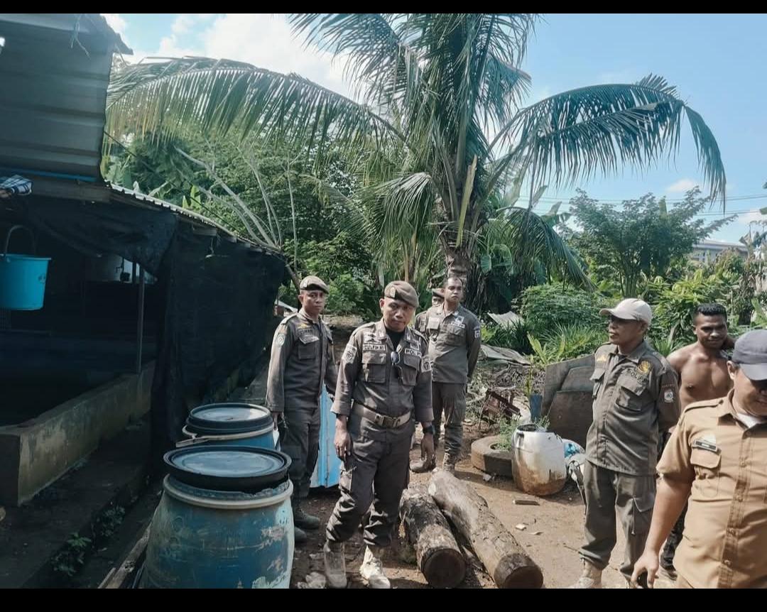 Kandang Babi di Gudang Farmasi Tamalate Kota Makassar Ditangani Persuasif, Dipindahkan